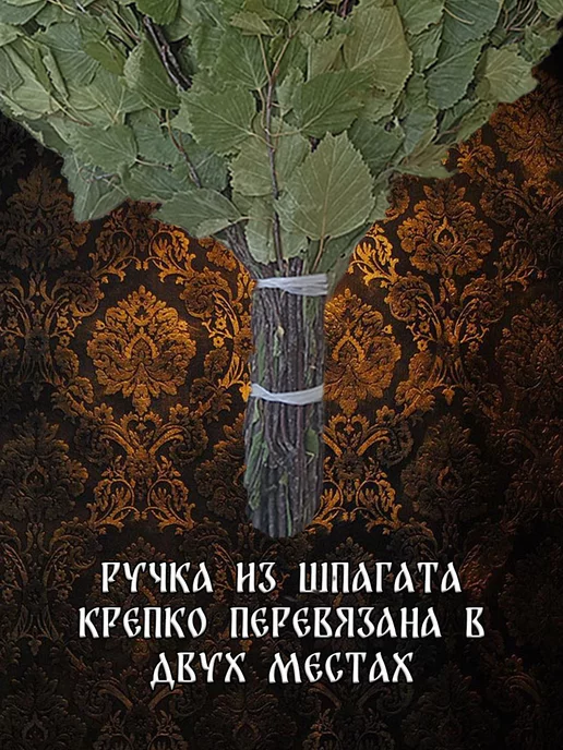 Дубовый Веник Комплект берёзовых веников для бани и сауны 2 штуки 2026, вариант, фото 2