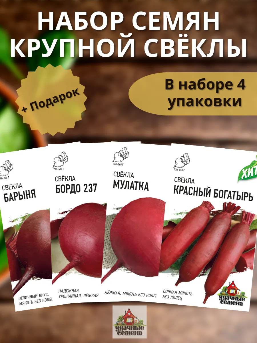 Свекла Славянка Описание Сорта Фото