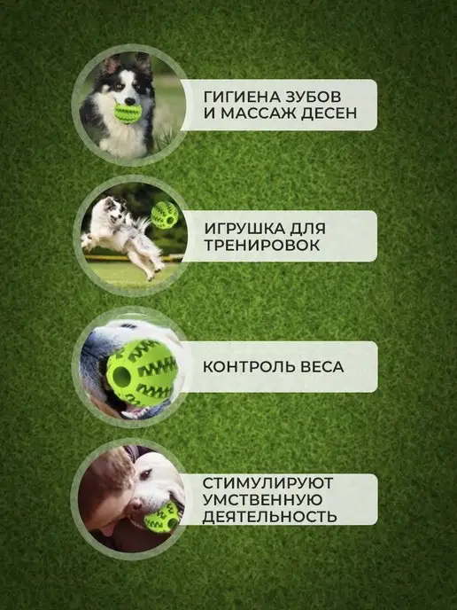 Дом Животных Игрушка для собак, зеленый, фото 3
