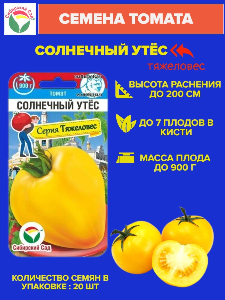 Томат солнечный утес. Томат Солнечный. Томат Солнечный жемчуг.