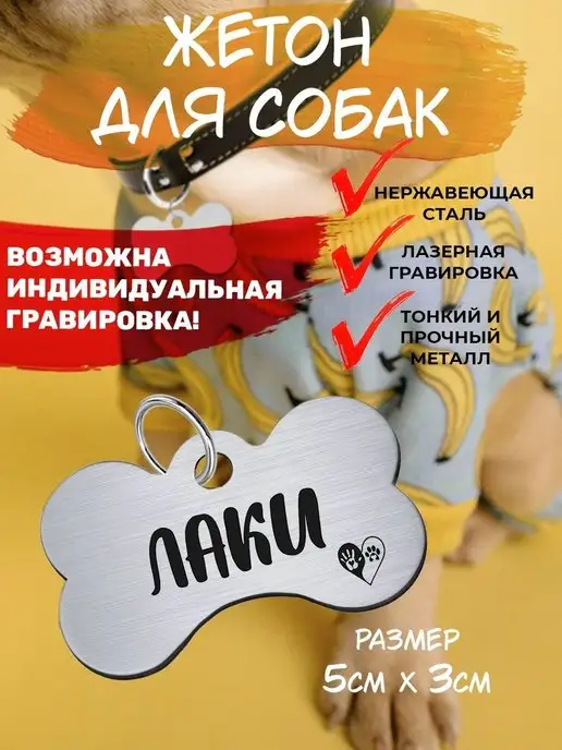 Адресник для собак и кошек: что такое, для чего нужен, как сделать своими руками