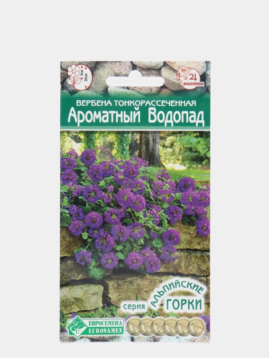 Вербена тонкорассеченная ароматный водопад. Вербена бонарская. Вербена тонкорассеченная синяя ночь.