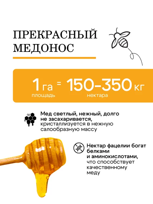 Природа Мёда Семена фацелии пижмолистной 1 кг, урожай 2026 года, 2 кг, фото 3