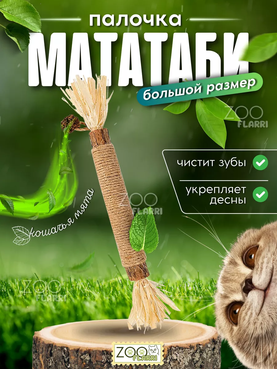 Игрушки мататаби для кошек с мятой ZOOFLARRI 149144838 купить за 118 ₽ в  интернет-магазине Wildberries