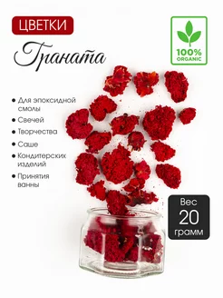 Гранат сушеный сухоцвет Lavanda & Home 149150350 купить за 240 ₽ в интернет-магазине Wildberries