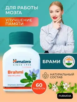 Брами Для работы мозга Улучшение памяти 60 таб. Himalaya Herbals 149278505 купить за 504 ₽ в интернет-магазине Wildberries