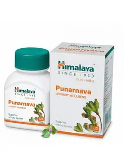 Пунарнава Для нормализации работы почек и сердца 60 таб Himalaya Herbals 149278513 купить за 524 ₽ в интернет-магазине Wildberries