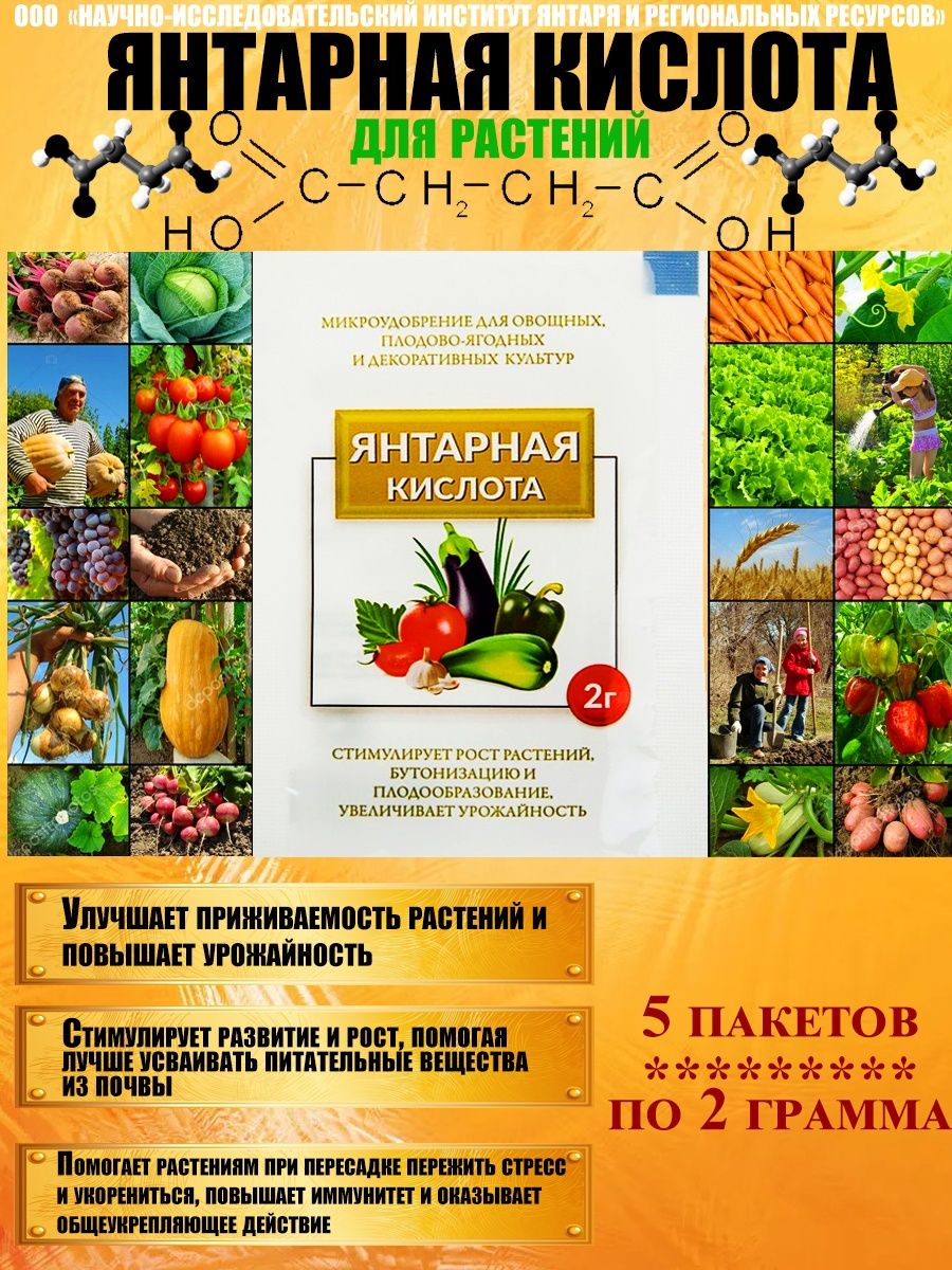 Янтарная кислота для подкормки огурцов. Янтарная кислота удобрение.