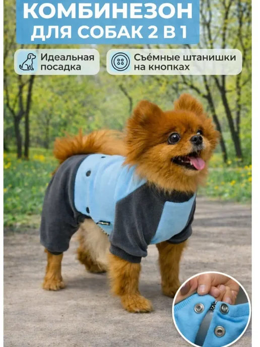 ZooTwoNati Комбинезон для собак и кошек, голубой