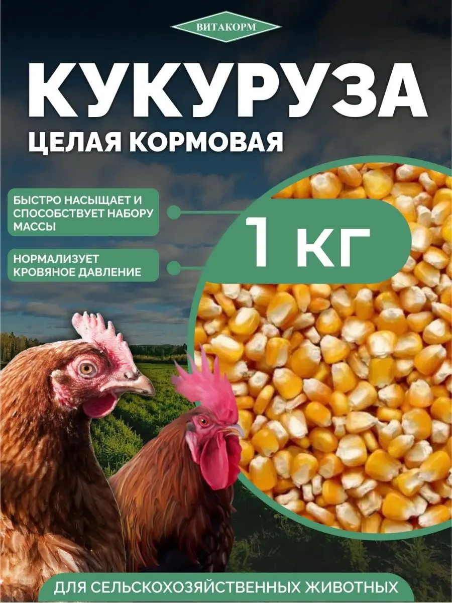 Кукуруза кормовая 1 кг для сельхоз животных Витакорм 149296666 купить в  интернет-магазине Wildberries