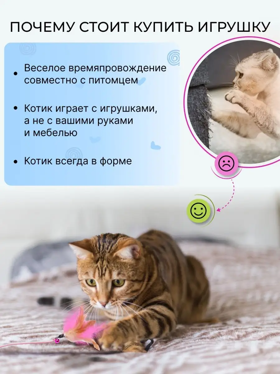 Кошка хочет играть: Как сделать интересную удочку-дразнилку для кошки