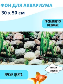 Фон для аквариума 30х50см 149400893 купить за 152 ₽ в интернет-магазине Wildberries