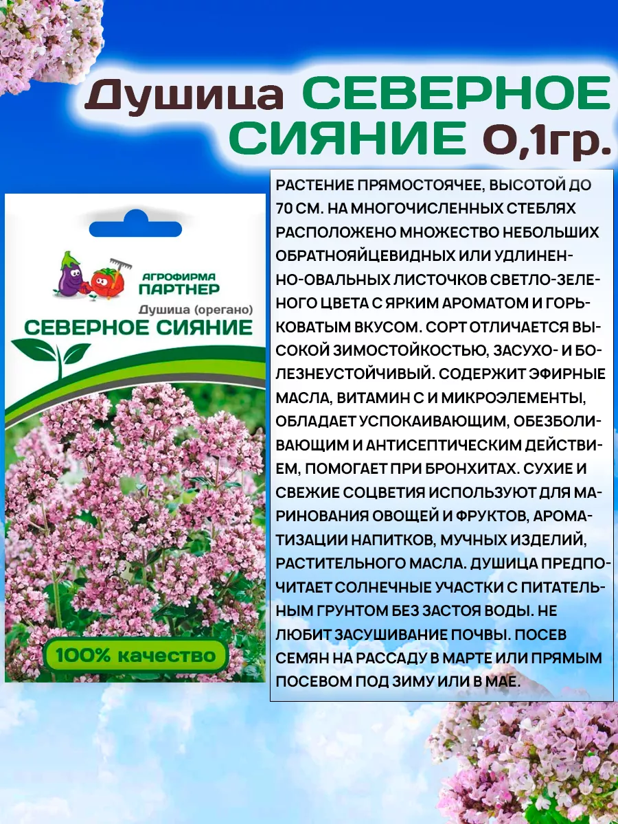 Семена пряных трав набор АГРОФИРМА ПАРТНЕР 149438937 купить за 418 ₽ в  интернет-магазине Wildberries