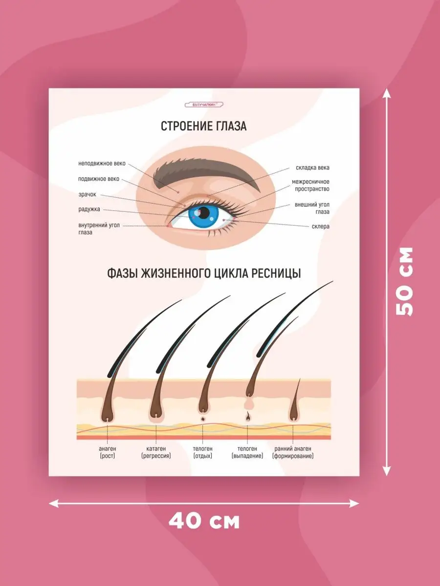 Плакаты для мастера наращивания ресниц (лэшмейкера) Выручалкин 149444618  купить за 469 ₽ в интернет-магазине Wildberries