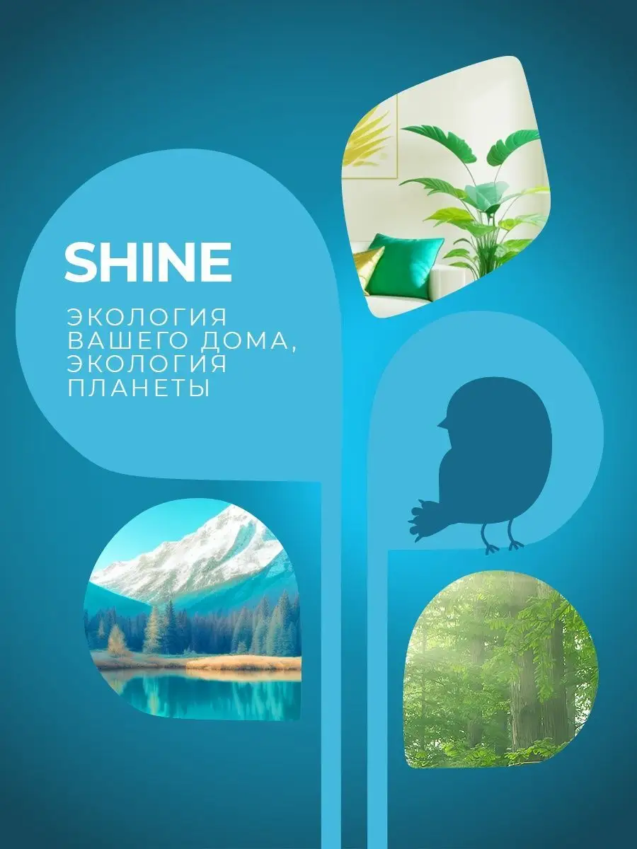 Стиральный порошок кислородный концентрат Shine 149446459 купить в  интернет-магазине Wildberries