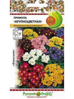 Семена Примула Крупноцветная, смесь, 0.05г Русский Огород 149464594 купить за 102 ₽ в интернет-магазине Wildberries