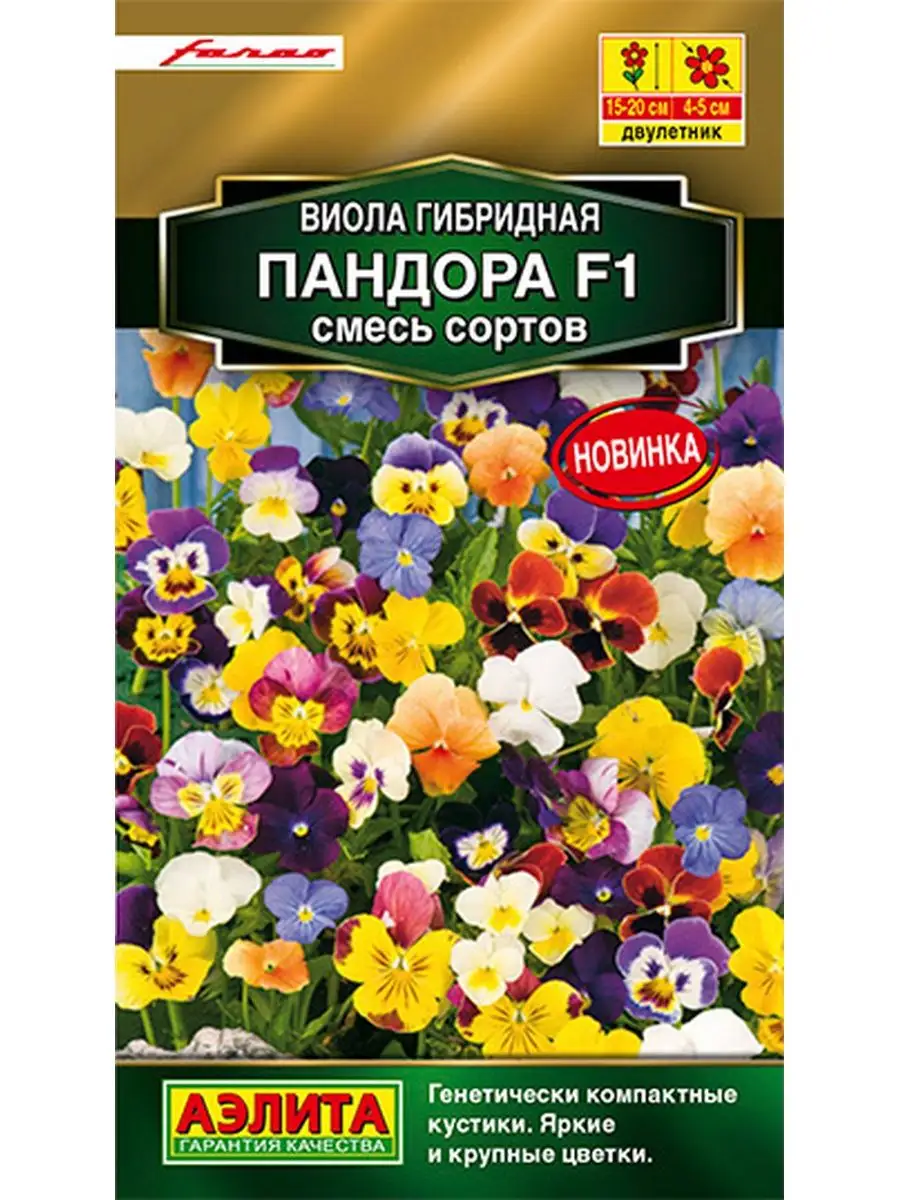 Семена Виолы Купить В Интернет Магазине