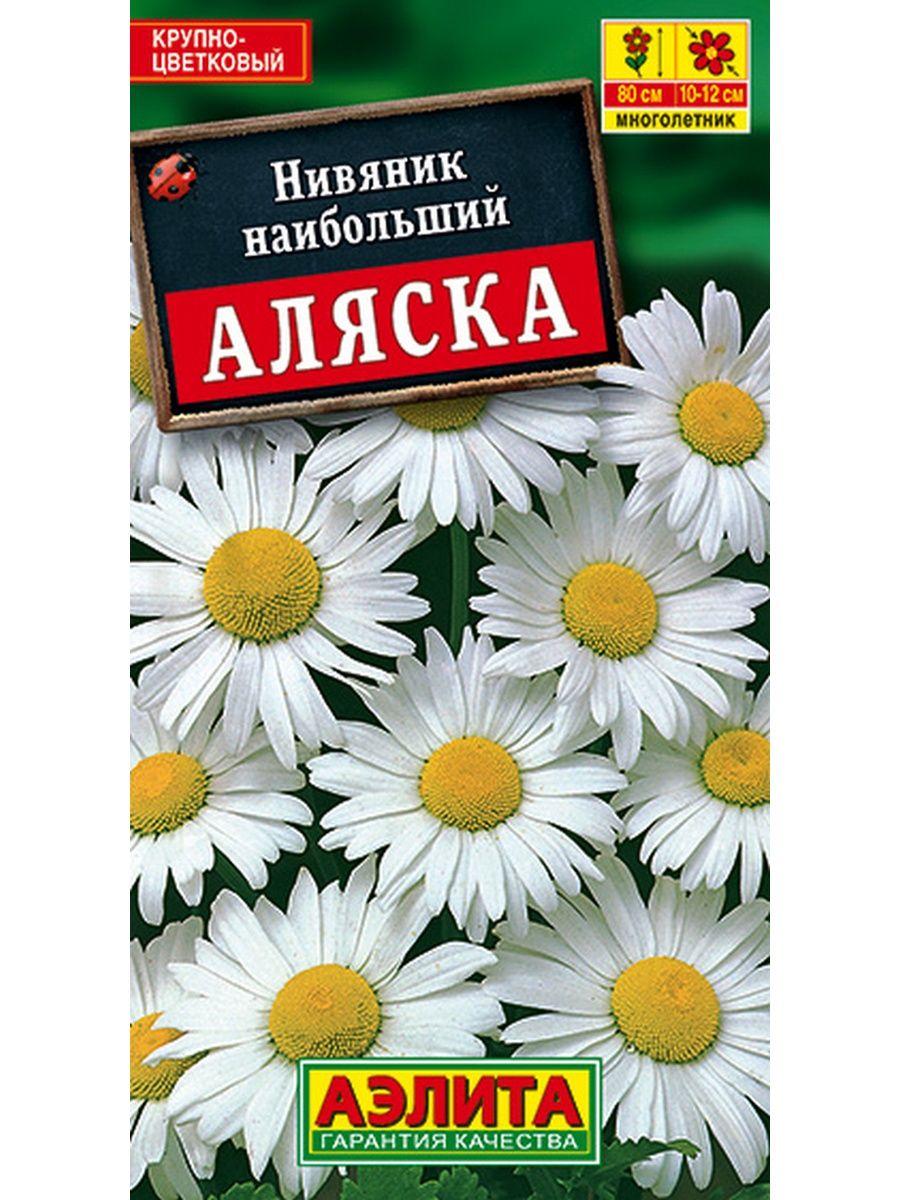 Семена нивяник аляска