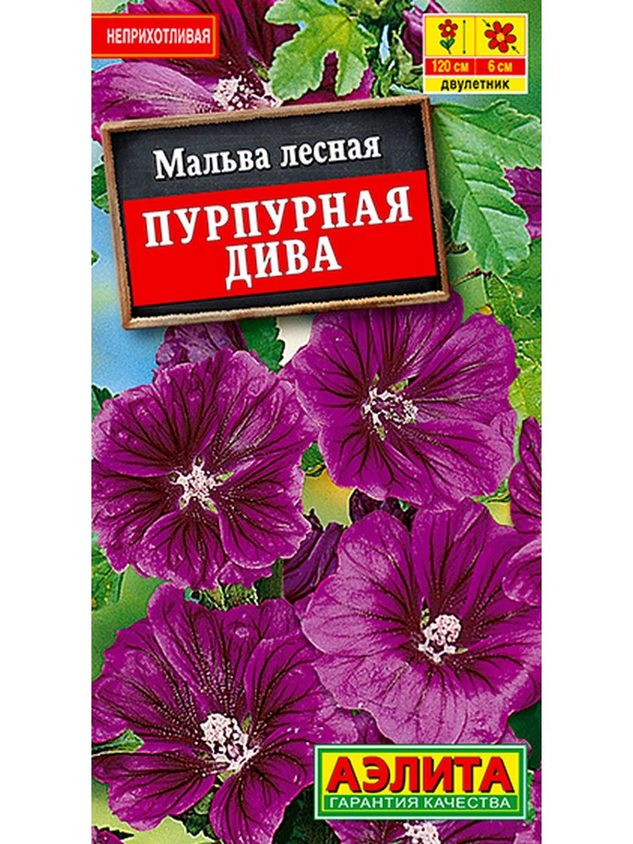 0 дива. Мальва пурпурная дива. Мальва Лесная пурпурная дива. Мальва мускусная семена. Мальва мускусная многолетняя семена.