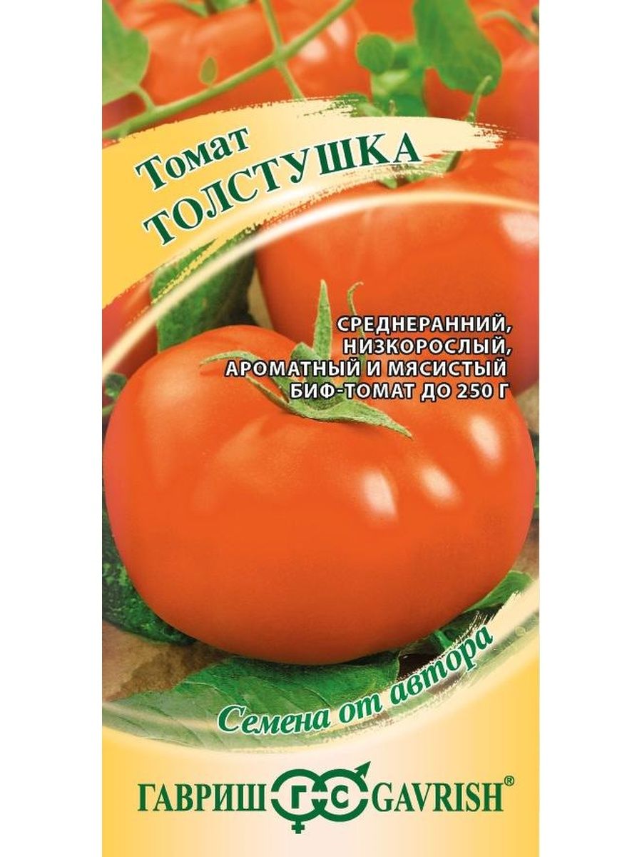 Томат толстушка. Толстушка помидоры описание. Толсто-жопый помидор. Томат толстушка характеристика и описание.