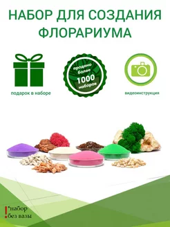 Флорариум стеклянный набор с растениями Sova market 149532140 купить за 840 ₽ в интернет-магазине Wildberries