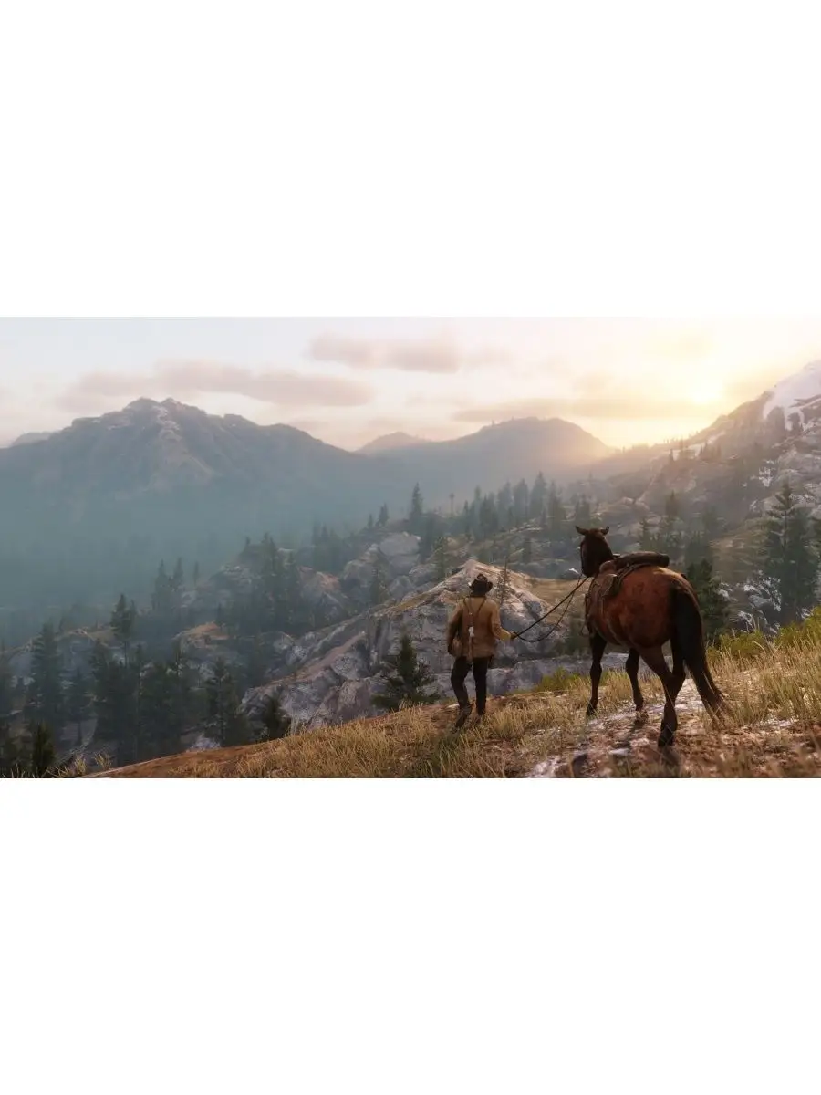 Red Dead Redemption 2 RDR 2 игра Иксбокс (не диск) Xbox 149564743 купить за  1 485 ₽ в интернет-магазине Wildberries