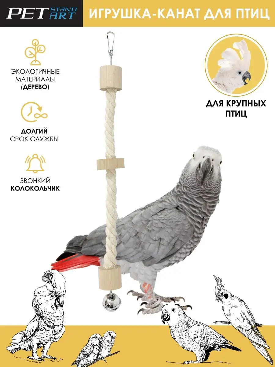 Обзор игрушек для волнистых попугаев