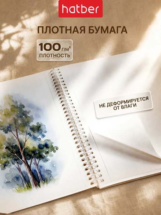 Hatber Альбом для рисования А4 40 листов 2 штуки набор, белый, альбом, фото 2