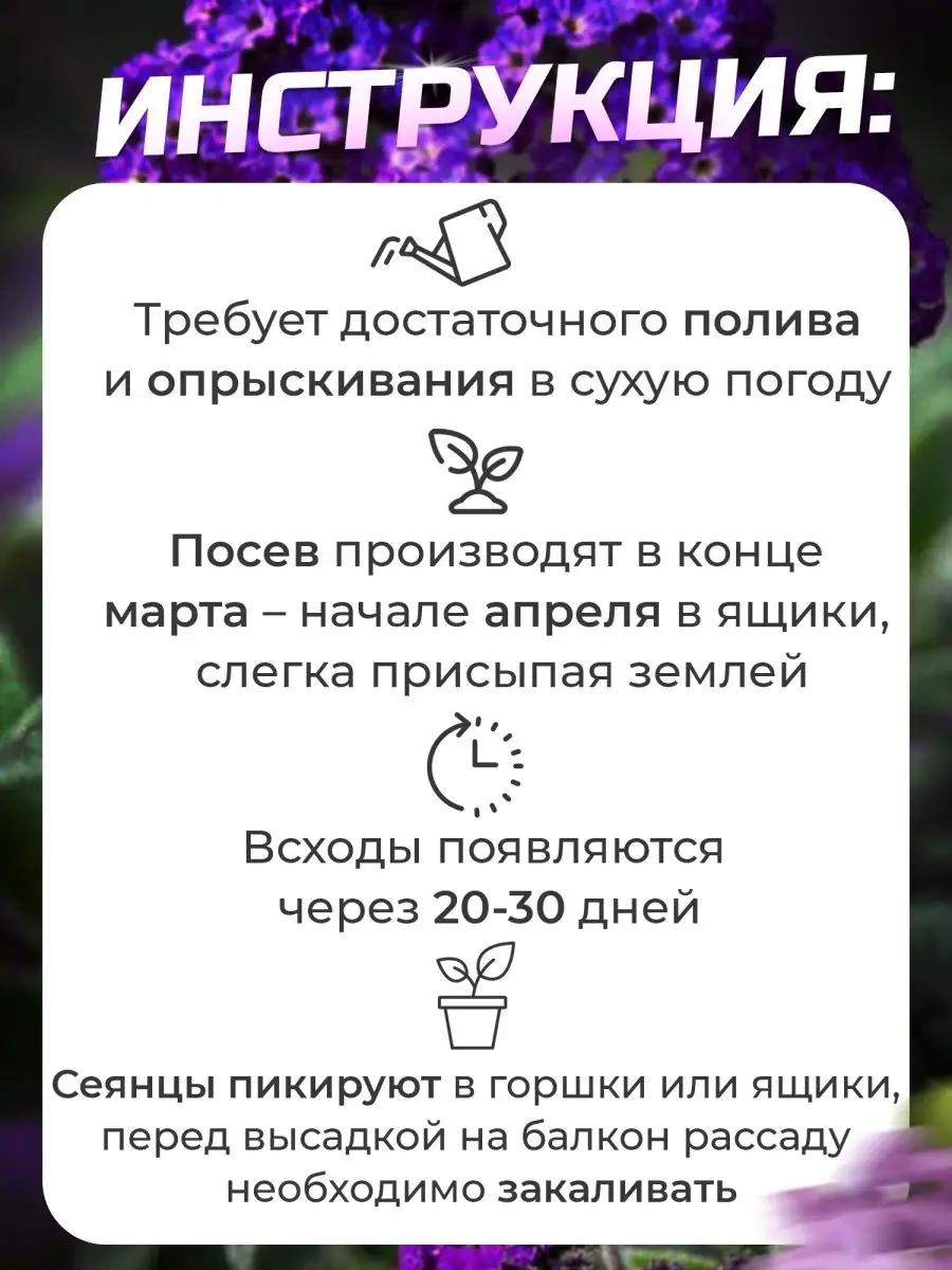 Гелиотроп семена цветов комнатных ПОИСК 149587839 купить за 115 ₽ в  интернет-магазине Wildberries