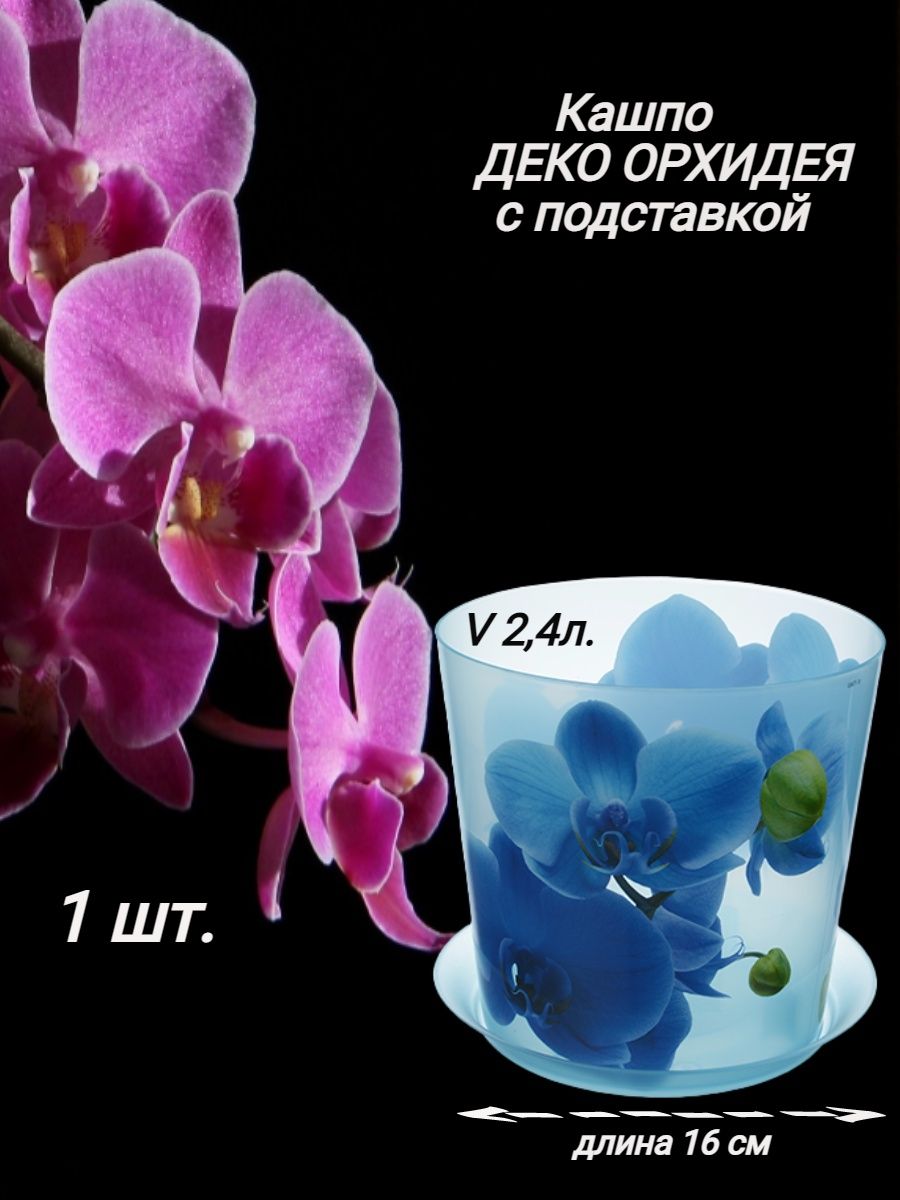 Орхидея м. Орхидея м-р0722. Орхидея м-ро722 222945 бордовая.
