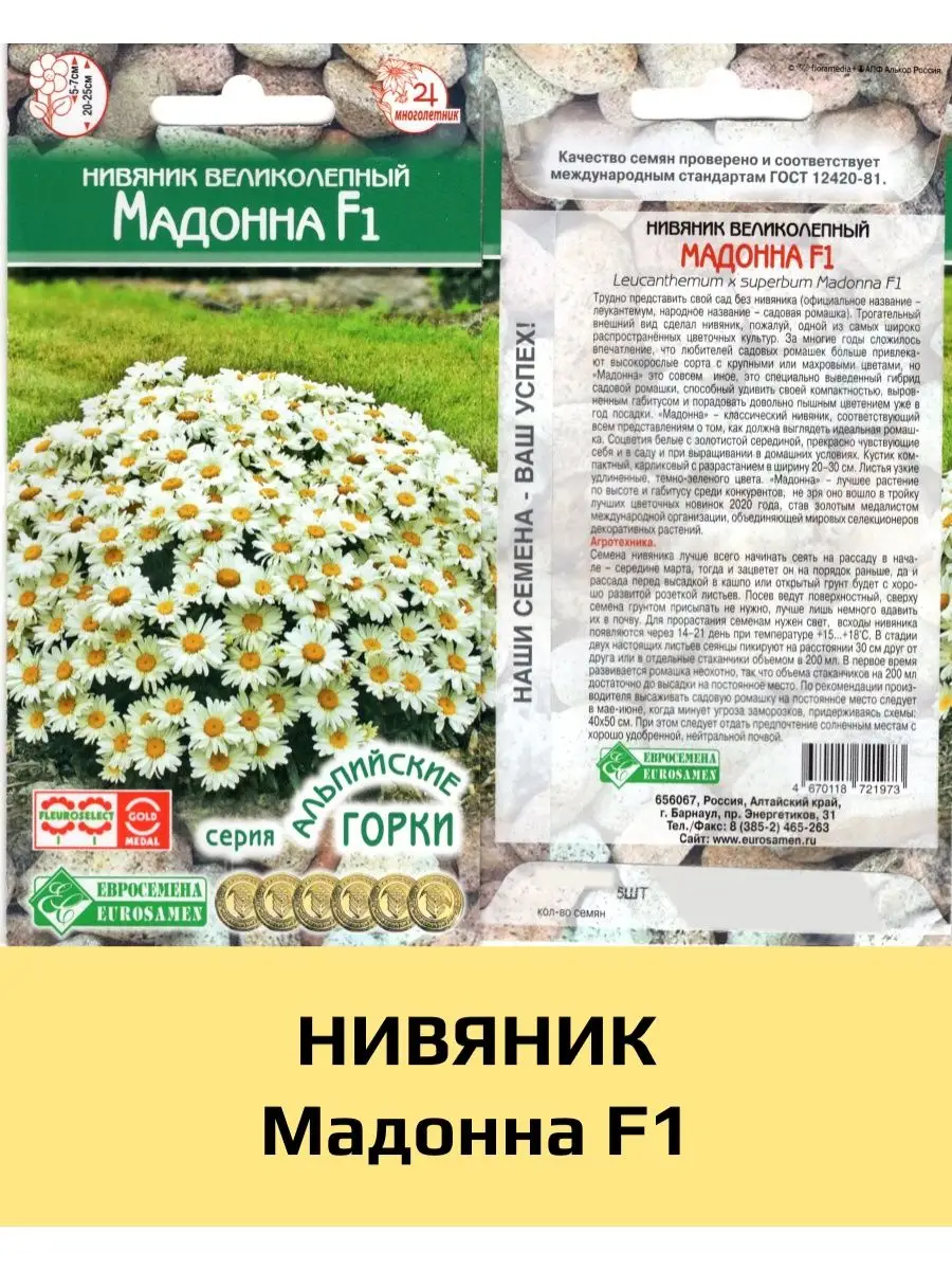 Семена Нивяник Мадонна F1, Евросемена, 1 уп ЕВРОСЕМЕНА 149610735 купить за  220 ₽ в интернет-магазине Wildberries