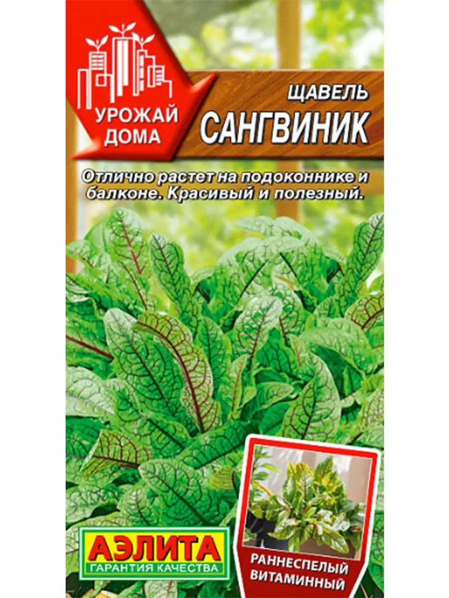 Щавель Сангвиник (0,05 г), 2 пакета Агрофирма Аэлита 149626327 купить в  интернет-магазине Wildberries