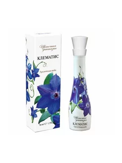 Цветочная Фантазия Клематис Туалетная вода 50мл TODAY PARFUM 149633307 купить за 290 ₽ в интернет-магазине Wildberries