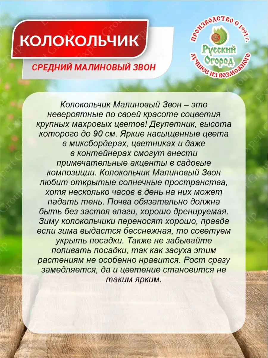 Семена Колокольчик Малиновый Звон Двулетние 0,2 гр. х 3 уп. Русский Огород  149680542 купить за 179 ₽ в интернет-магазине Wildberries