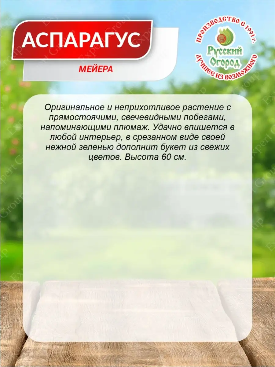 Семена Аспарагус Мейера Зеленый дом Многолетние 3 шт./уп. Русский Огород  149687407 купить в интернет-магазине Wildberries