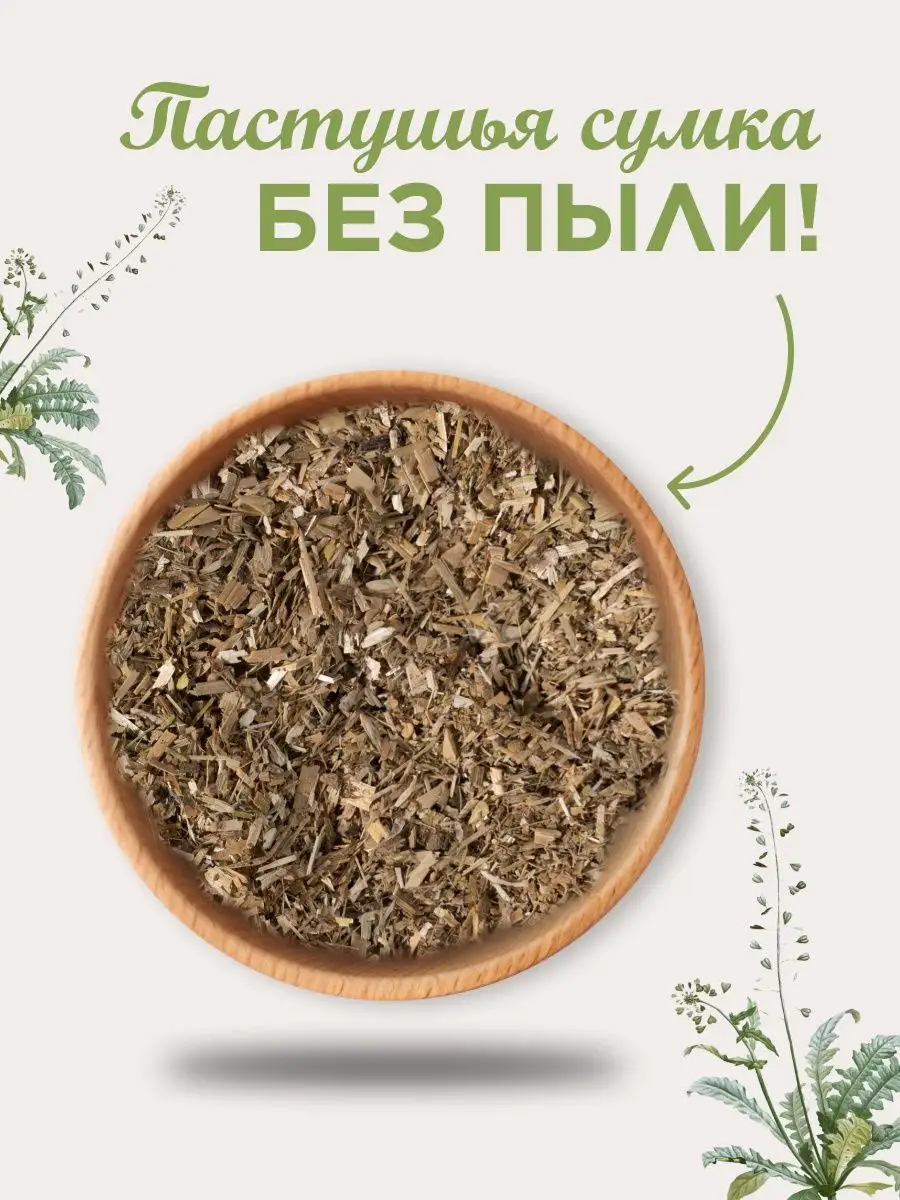 Пастушья сумка трава сушеная травяной сбор чай фиточай 130 г Biogra  149711852 купить за 164 ₽ в интернет-магазине Wildberries