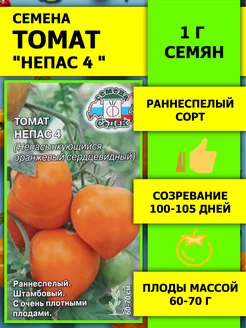 Семена Томат "Непас 4 ", 0.1 г СеДек 149719436 купить за 100 ₽ в интернет-магазине Wildberries