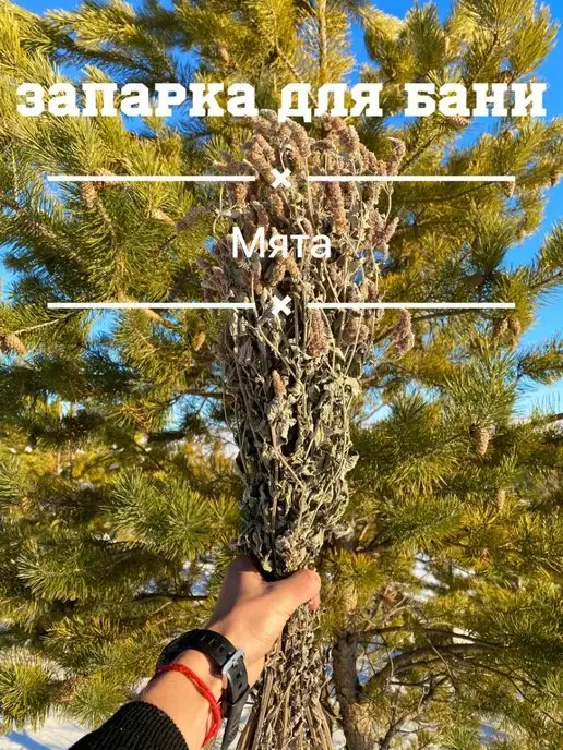 Из деревни Мята травяной веник, вариант