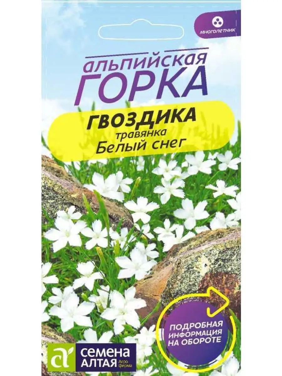 Семена гвоздика травянка Белый снег ДАЧА ОНЛАЙН 149754256 купить за 154 ₽ в  интернет-магазине Wildberries