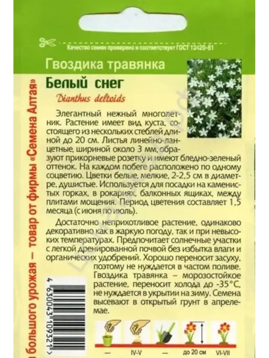 Семена гвоздика травянка Белый снег ДАЧА ОНЛАЙН 149754256 купить за 154 ₽ в  интернет-магазине Wildberries