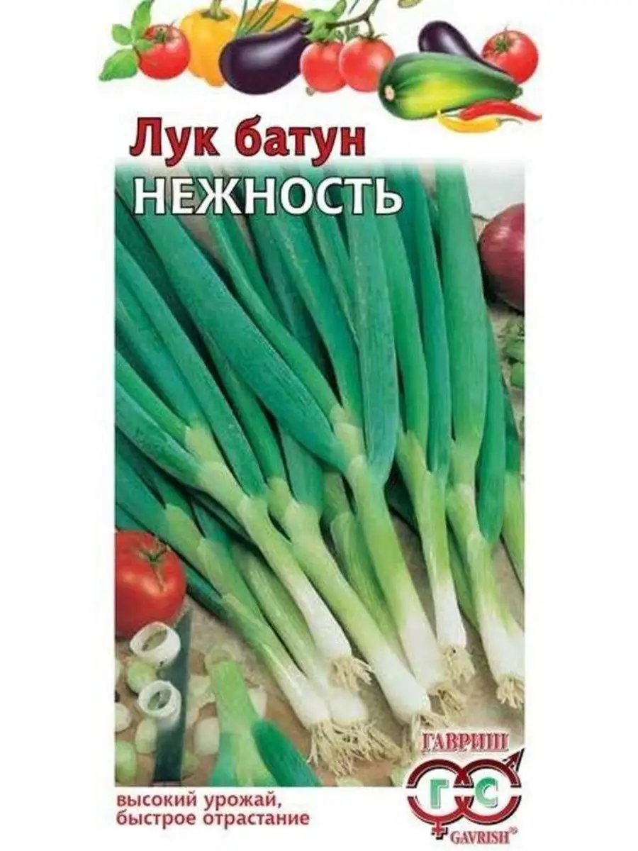 Семена лук батун НЕЖНОСТЬ 0.5 г ДАЧА ОНЛАЙН 149754264 купить за 135 ₽ в  интернет-магазине Wildberries