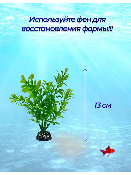 Внукова Т.Н. Растения для аквариума декор, зеленый, фото 4