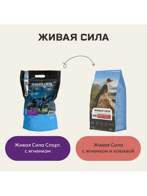 Сухой корм JJ-SPORT Живая Сила для собак, ягненок, 10 кг, фото 2