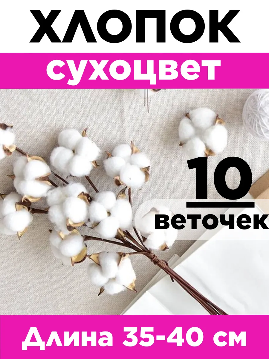Сухоцвет хлопок...
