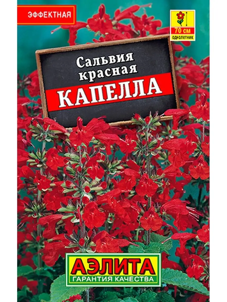 Сальвия Капелла красная 0,1г Л м/ф Аэлита Ваш Дом и Сад 149845049 купить за  102 ₽ в интернет-магазине Wildberries