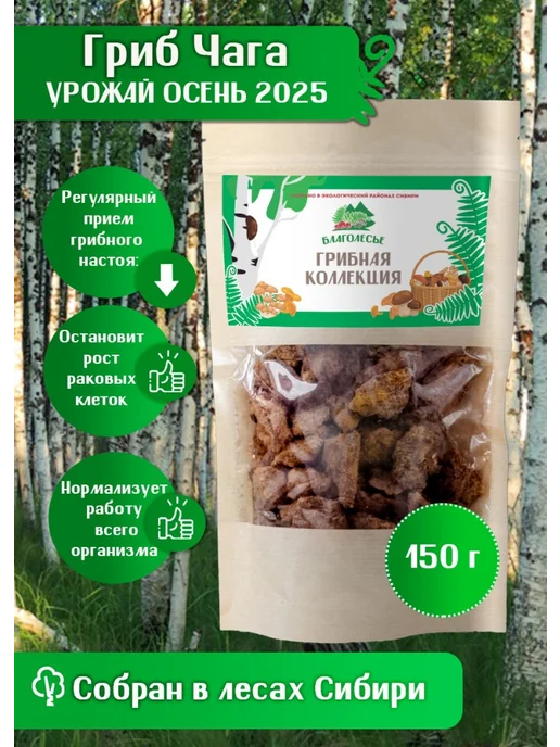 Благолесье Гриб березовая чага кусковая 150 г, 150 г