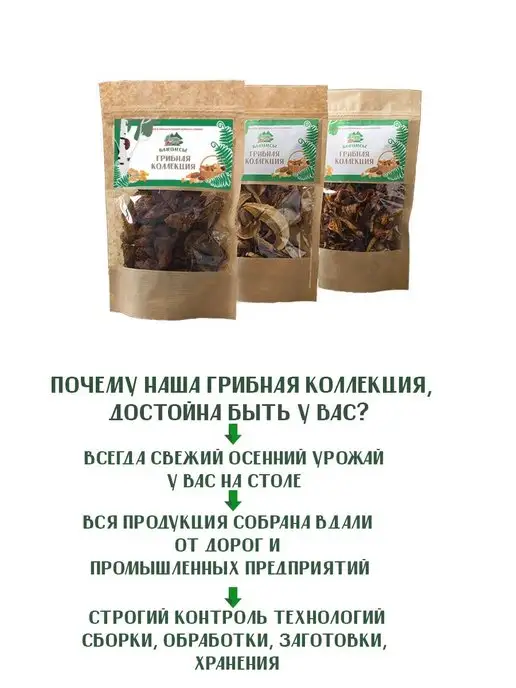 Благолесье Гриб березовая чага кусковая 150 г, 150 г, фото 2