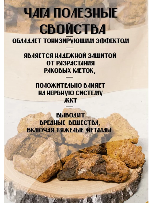 Благолесье Гриб березовая чага кусковая 150 г, 150 г, фото 3