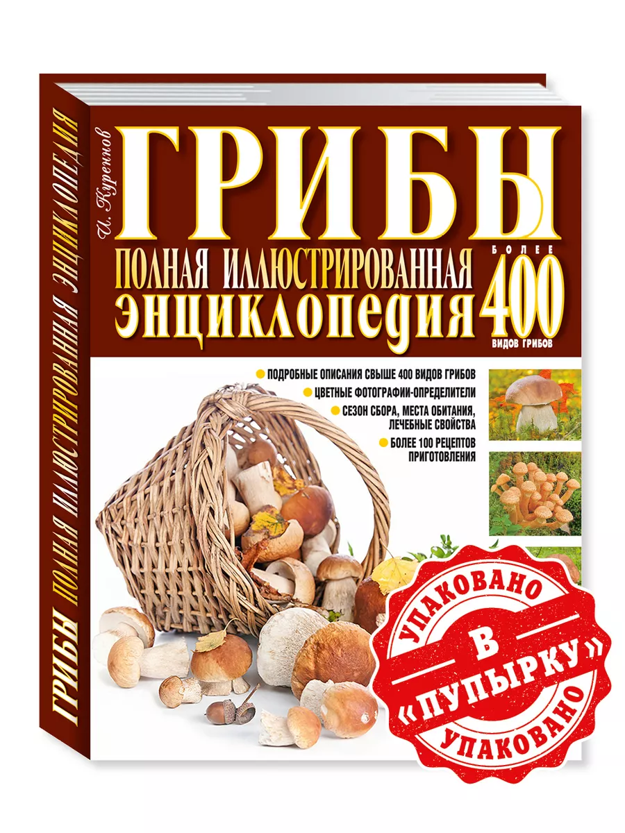 Куреннов.Грибы.400видов грибов Издательство Мартин 149942995 купить за 604  ₽ в интернет-магазине Wildberries