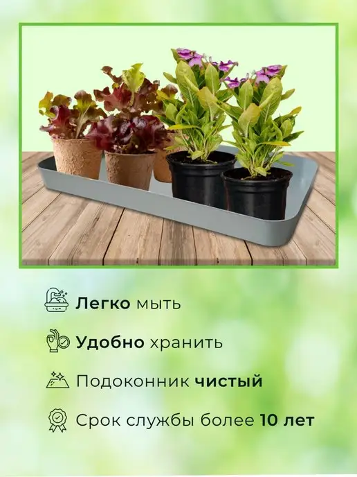 Ростека Поддоны для рассады посадки набор 5 штук, серый, фото 5